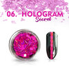 Nagel Flakes - Hologram Secret Roze nr06