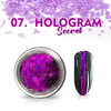 Nagel Flakes - Hologram Secret Paars nr07