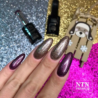 paarse gellak met zilveren glitters op de nagels voorbeeld