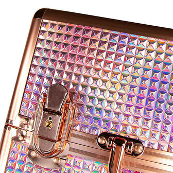 kleurendetails nagelkoffer met goudtinten en regenboogeffect