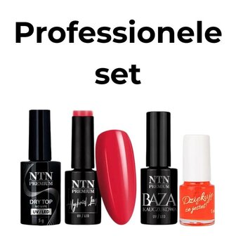 Professionele gellak set van NTN Premium met aparte flacons voor base coat, top coat en een gellak kleur.