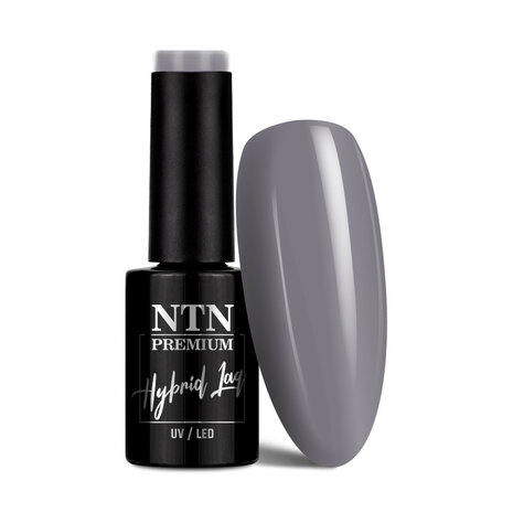 NTN gellak koel grijs nr 202