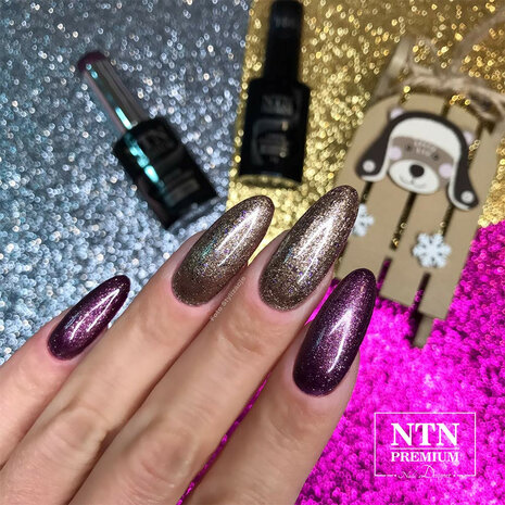 paarse gellak met zilveren glitters op de nagels voorbeeld