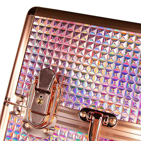 kleurendetails nagelkoffer met goudtinten en regenboogeffect