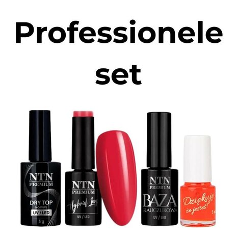 Professionele gellak set van NTN Premium met aparte flacons voor base coat, top coat en een gellak kleur.