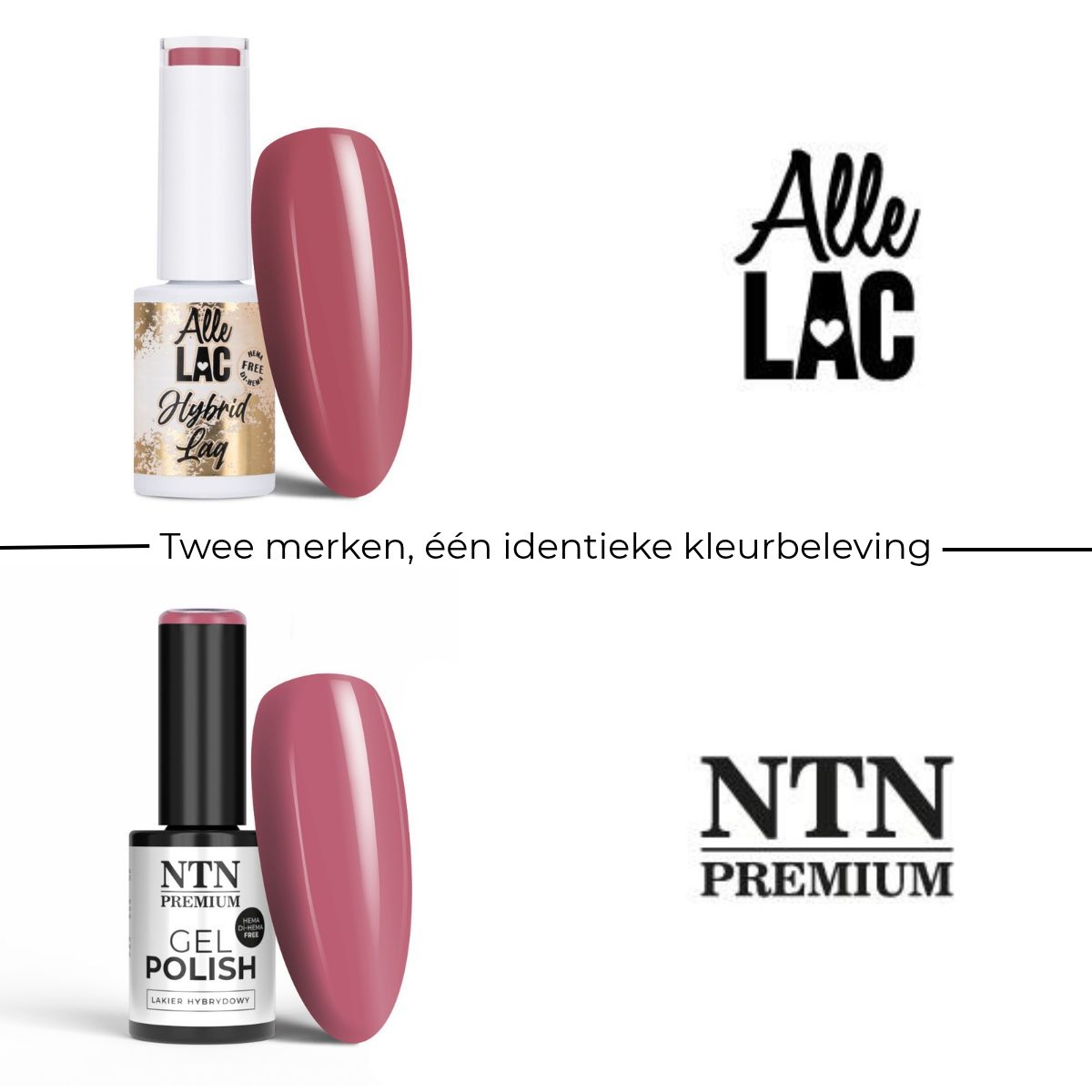 AlleLac vs NTN Premium: visueel verschil tussen twee merken met één identieke kleurbeleving.