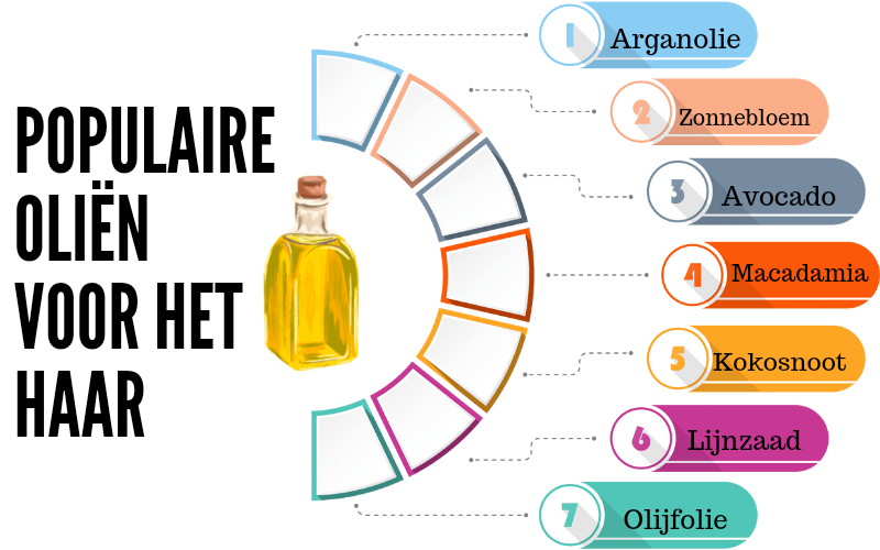 infographic over populaire oliën voor het haar